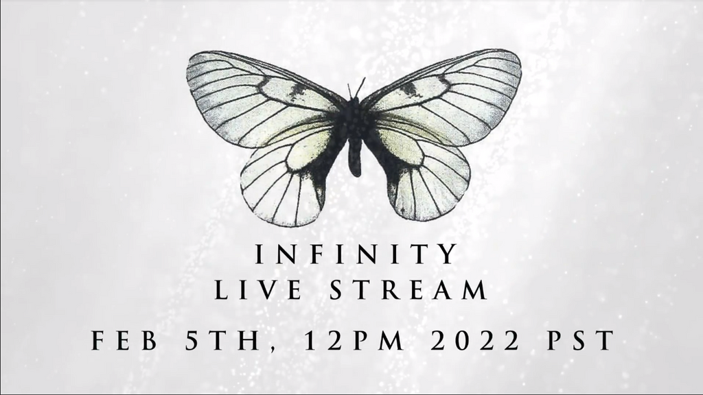 Devin Townsend Infinity Live Stream